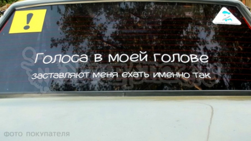Наклейка на авто "Голоса в моей голове"