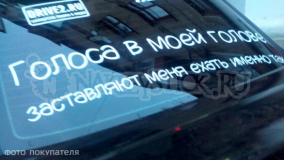 Наклейка на авто "Голоса в моей голове"