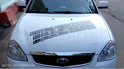 Наклейка на авто "Taz Team Russia"