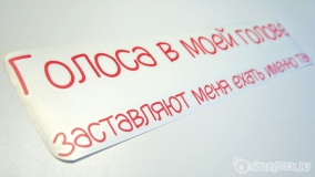 Наклейка на авто "Голоса в моей голове"