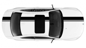 Комплект наклеек-полос на BMW 1, вид 1