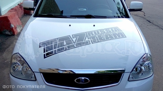 Наклейка на авто Taz Team Russia пример 1