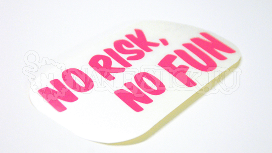 Наклейка на авто No risk no fun пример 2 Наклейка на авто No risk no fun пример 2