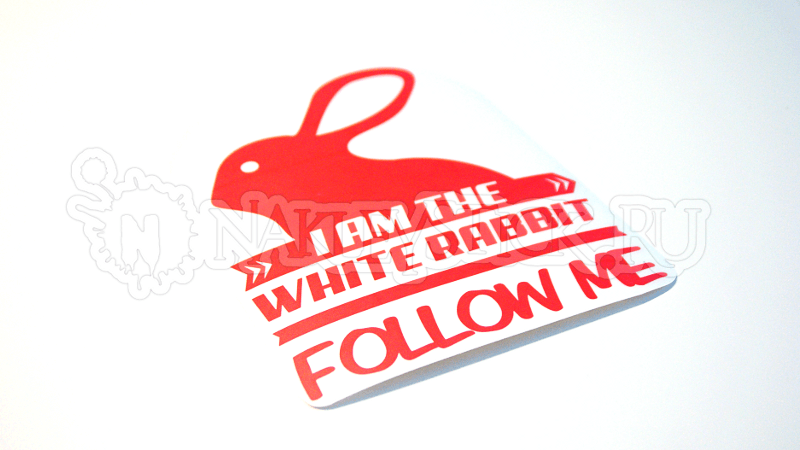Наклейка на авто I am the white rabbit. Follow me пример 1