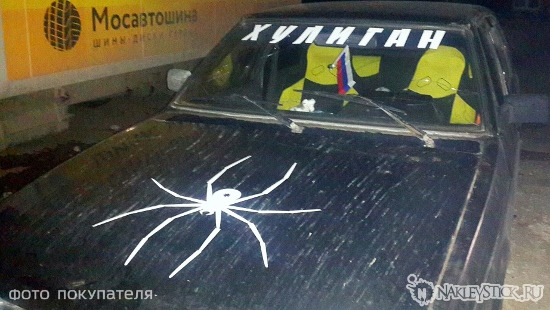Наклейка на авто Паук пример 3 оранжевая